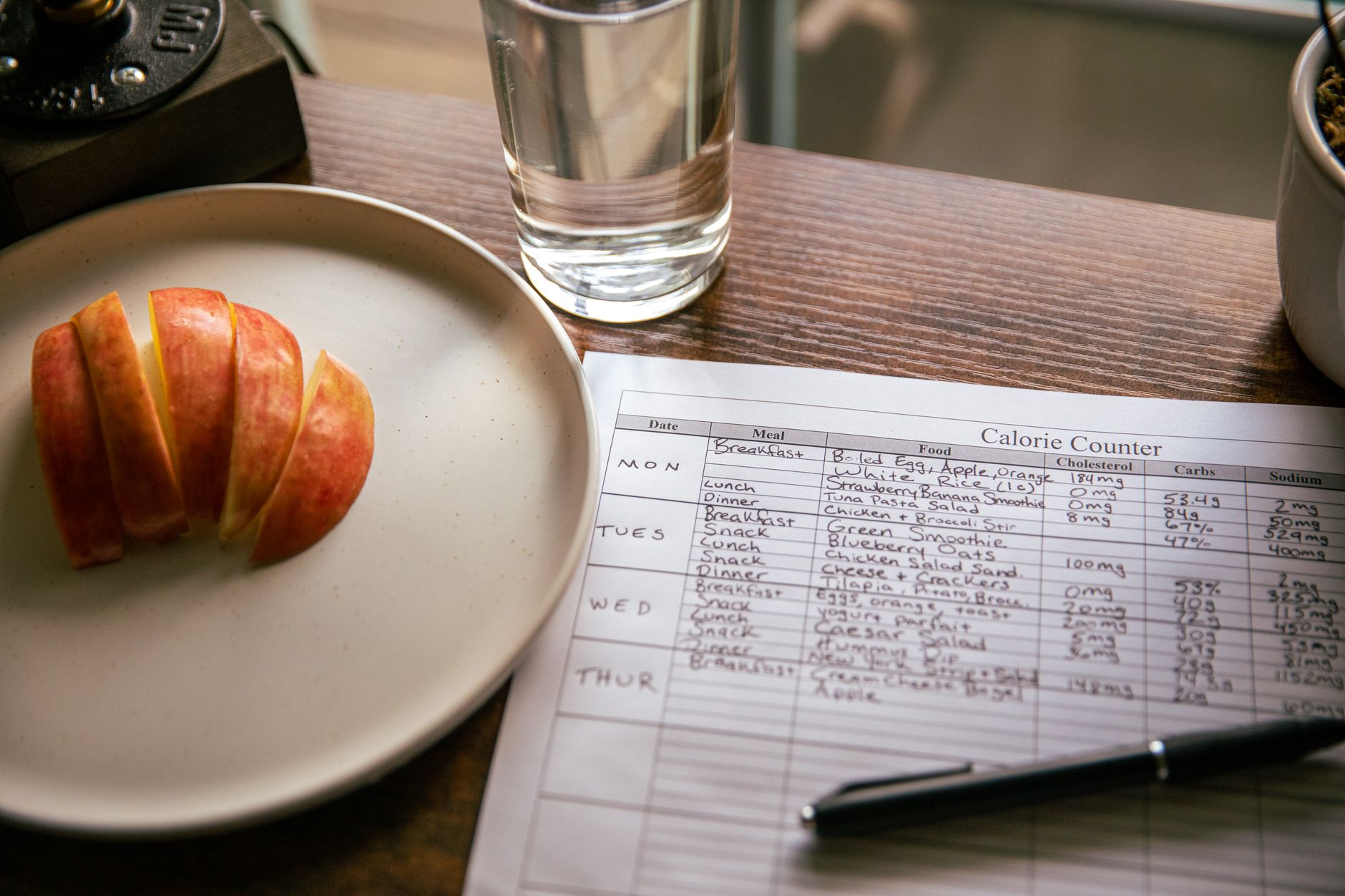 Balanced healthy meal used to plan daily calorie intake