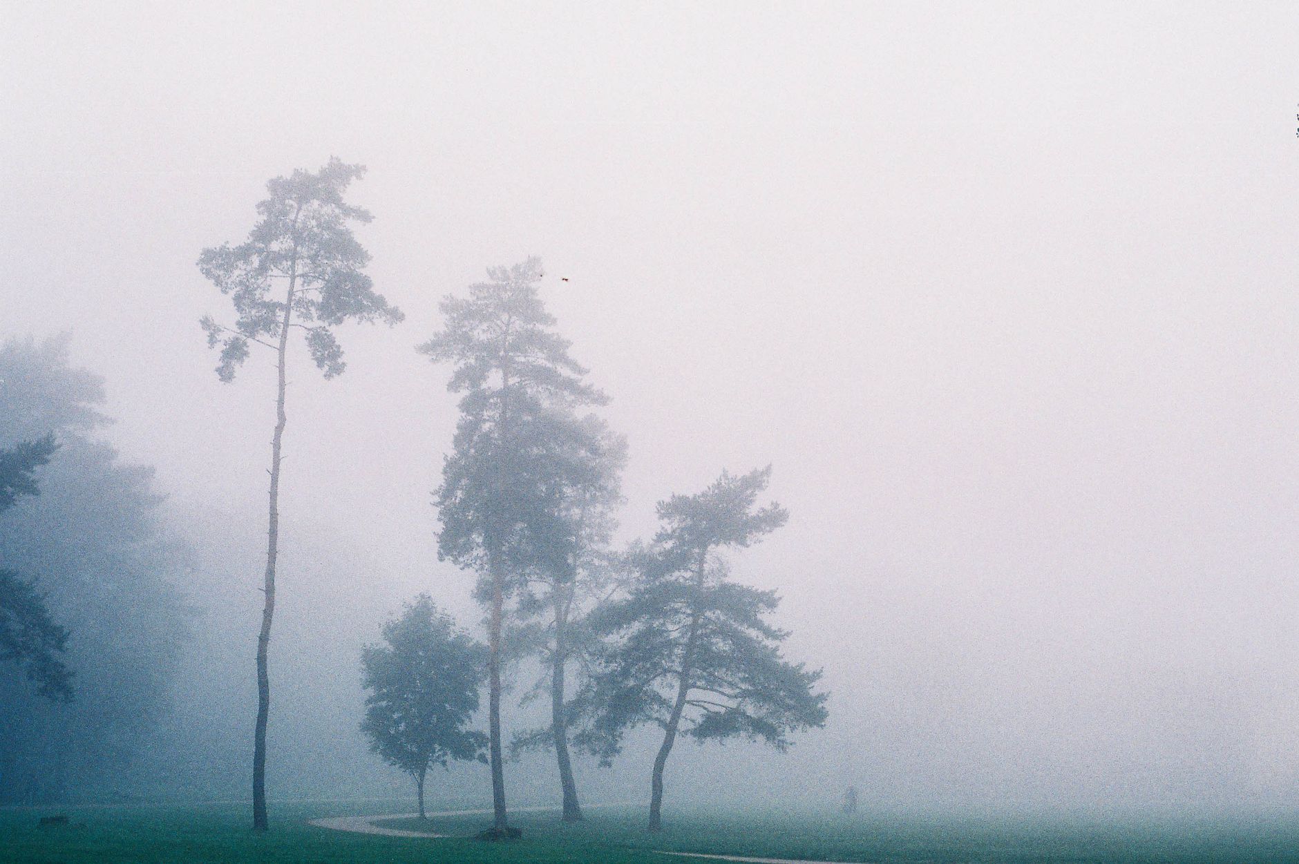 Morning fog over landscape — atmospheric humidity and dew point