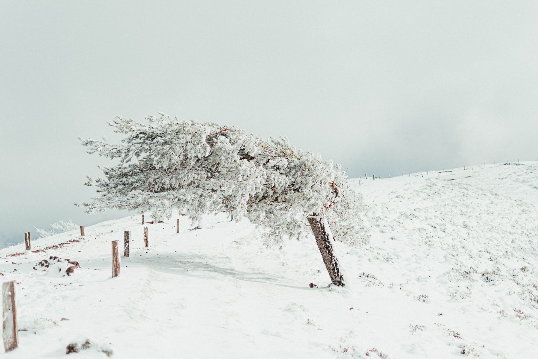 Snowy winter landscape with strong cold wind blowing across the terrain