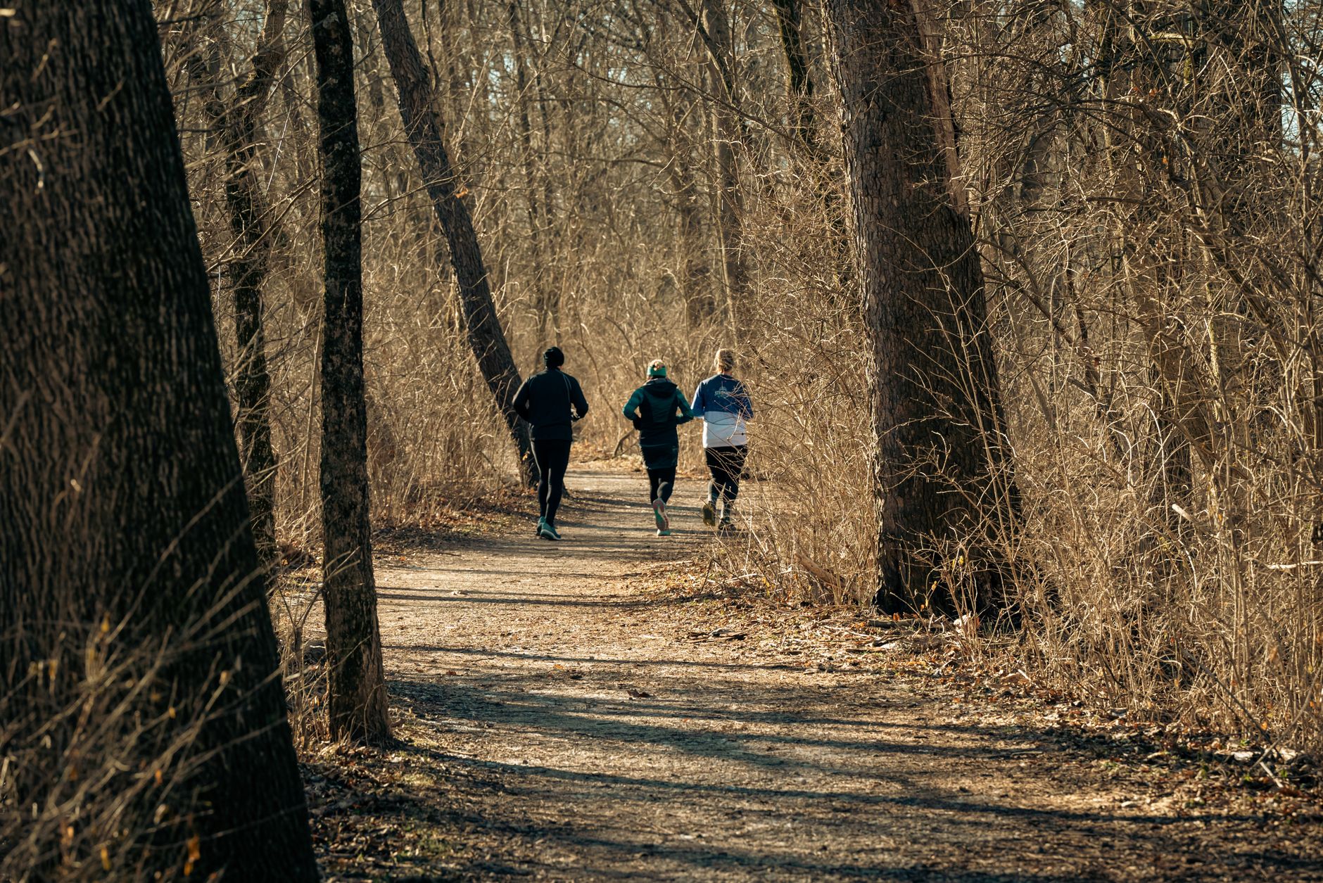 Jogging on a trail — outdoor exercise calorie burn