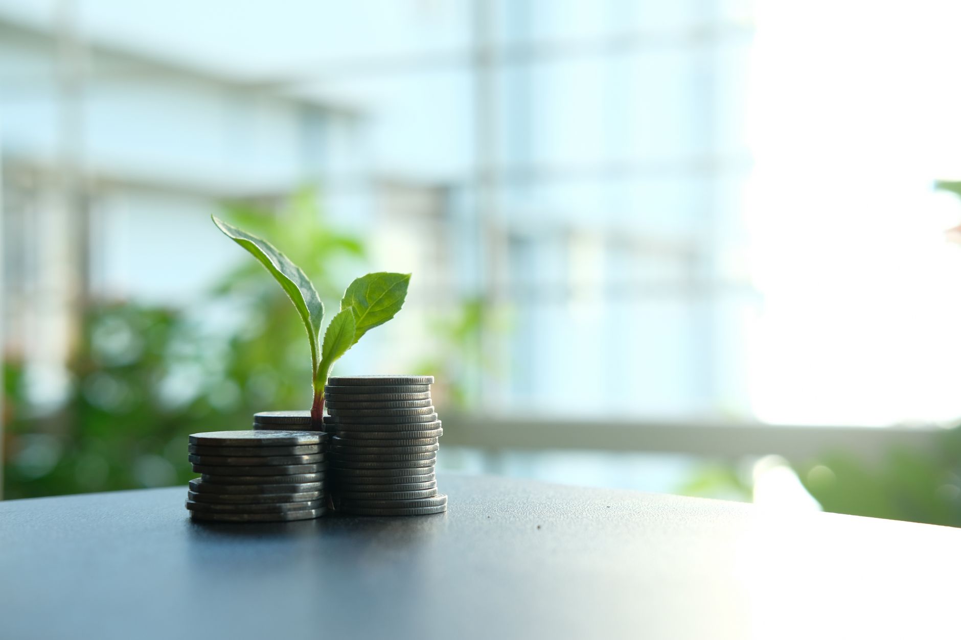Financial planning and investment growth chart