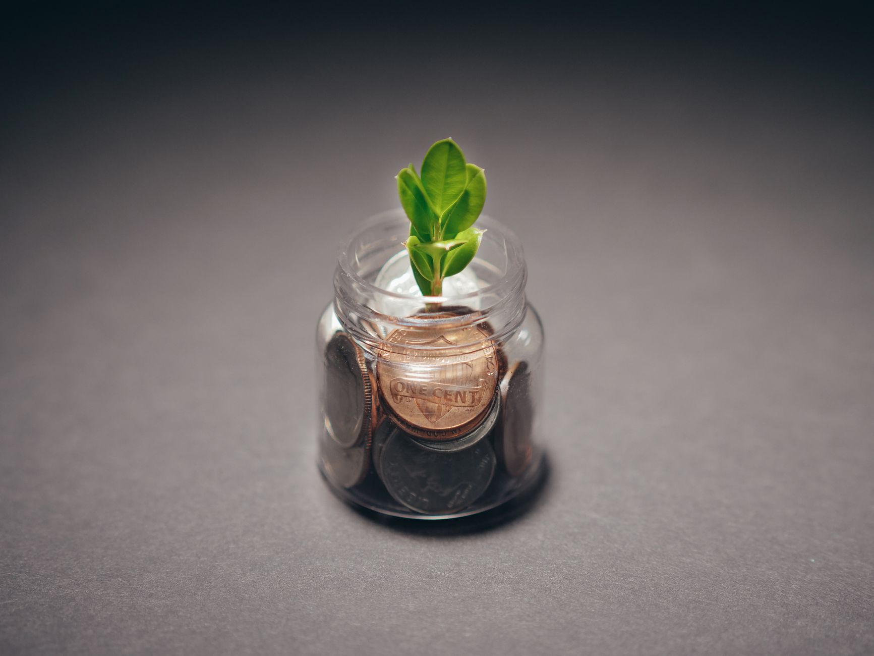 Pièces et plante en croissance symbolisant l'épargne à long terme
